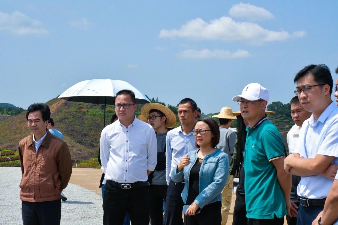 梧州市及各縣扶貧辦到中恒中藥材現代農業融合創新發展項目基地調研2.jpg